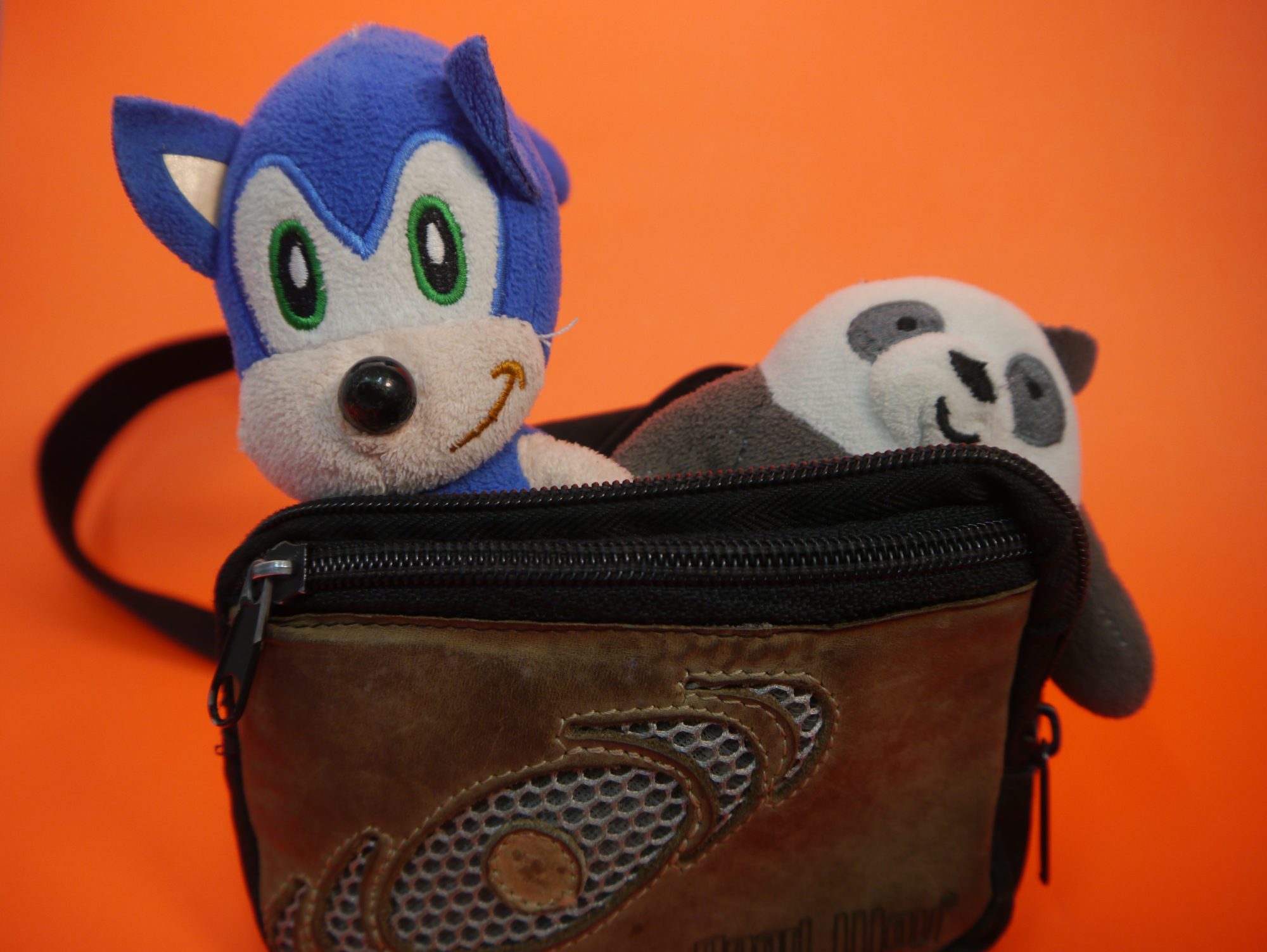 Traer juguetes de casa para jugar con la luz.